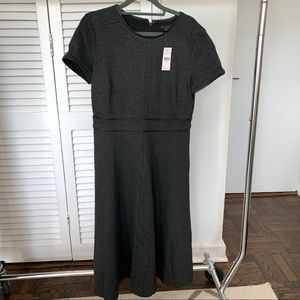 NWT Ann Taylor Dress